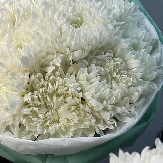 Букет из 11 белых хризантем