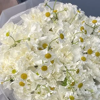 Белый дуо-букет гвоздик и матрикарий S