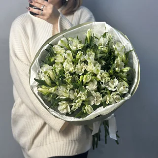 Букет из 21 белой альстромерии