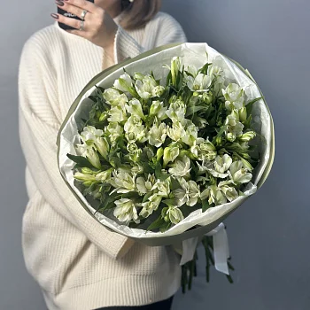 Букет из 21 белой альстромерии