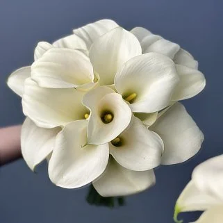 Свадебный букет невесты из 17 калл