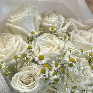 Дуо-букет роз Playa Blanca и матрикарии L