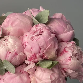 Свадебный букет невесты из 15 розовых пионов и эвкалипта