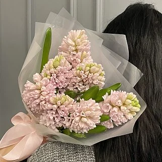 Букет из 7 розовых гиацинтов