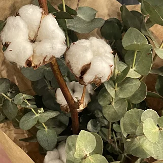 Букет из хлопка и эвкалипта M