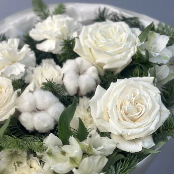 Котобукет S (подробности акции внутри)