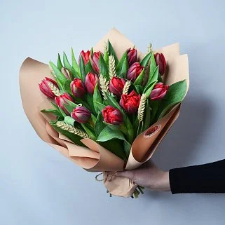 Букет из 15 красных пионовидных тюльпанов с колосками