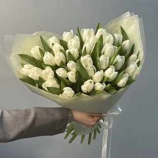 Букет из 35 белых тюльпанов