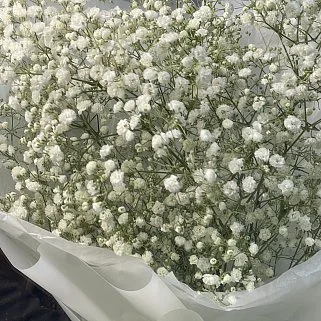 Букет из 5 веточек гипсофилы