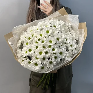 Букет из 15 белых кустовых хризантем Bacardi