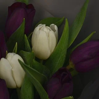 Букет из 15 тюльпанов (микс)