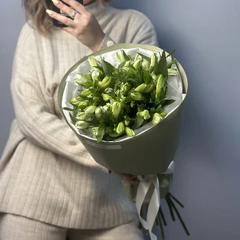 Букет из 11 белых альстромерий