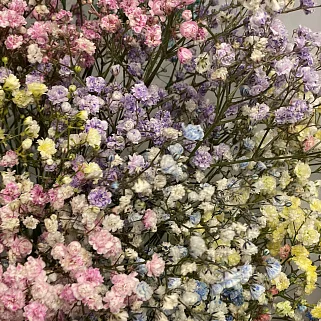 Букет из 15 веточек цветной гипсофилы