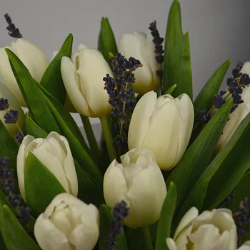 Букет в шляпной коробке из 15 белых тюльпанов с лавандой