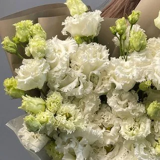 Букет из 11 белых эустом