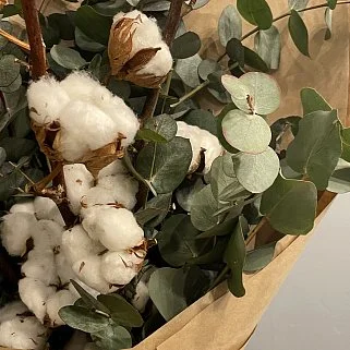 Букет из хлопка и эвкалипта L