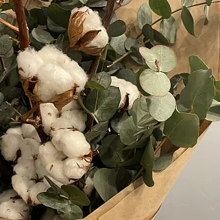 Букет из хлопка и эвкалипта L