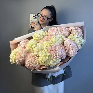 Букет из 15 розовых и белых гортензий