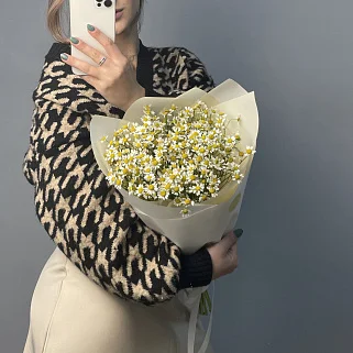 Букет ромашек S