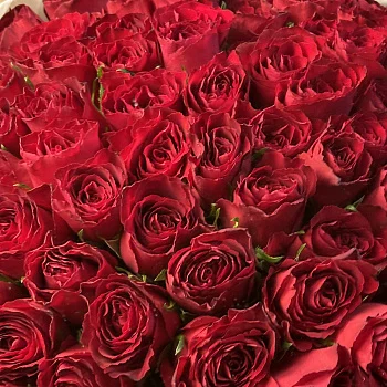 Букет из 101 красной розы 50см (Кения)