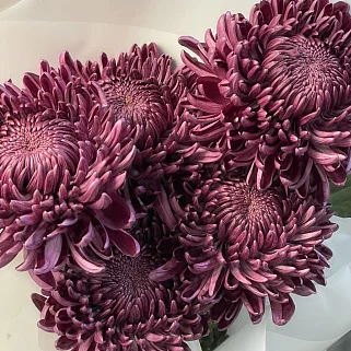 Букет из 5 хризантем Bigoudi