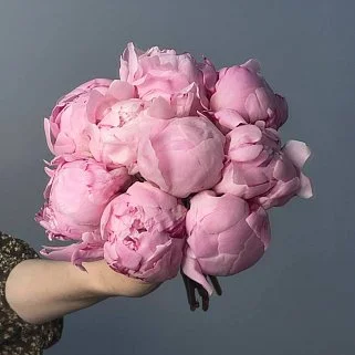 Свадебный букет невесты из 9 розовых пионов