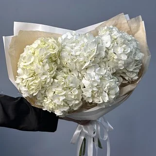 Букет из 5 белых гортензий