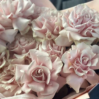 Букет из 11 французских роз Pink Mondial