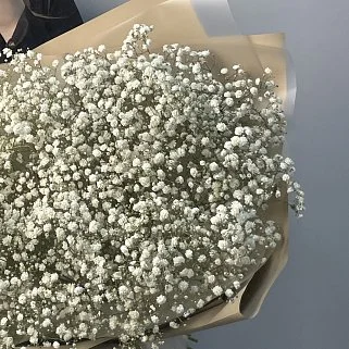 Букет из 11 веточек гипсофилы