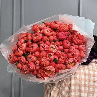 Букет из 101 пиона Coral Sunset