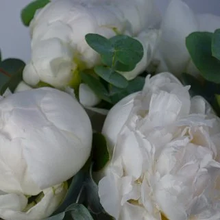 Букет в шляпной коробке из 9 белых пионов