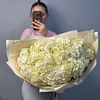 Букет из 15 белых гортензий