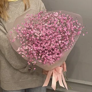 Букет из 9 веточек розовой гипсофилы