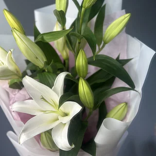 Букет из 3 белых лилий