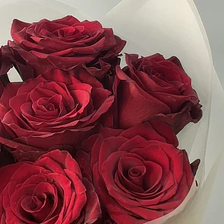 Букет из 7 роз Explorer