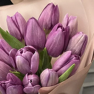 Букет из 15 фиолетовых тюльпанов