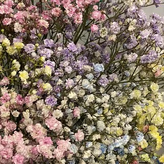 Букет из 15 веточек цветной гипсофилы