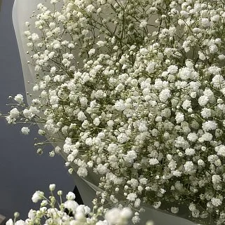 Букет из 9 веточек гипсофилы
