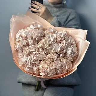 Букет из 5 розовых гортензий