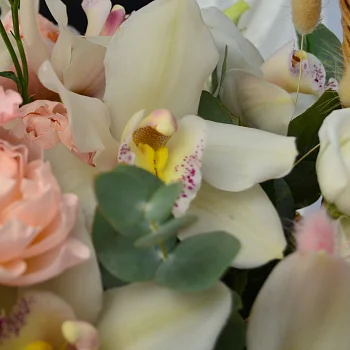 Корзина с орхидеями Белла