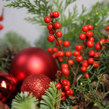 Зимняя композиция Санта Клаус S