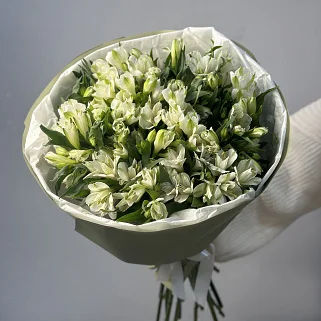 Букет из 21 белой альстромерии