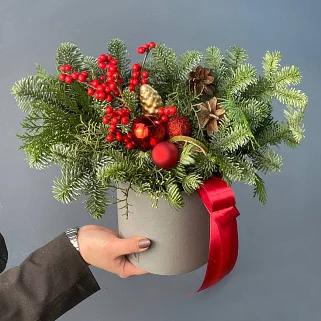 Зимняя композиция Санта Клаус S