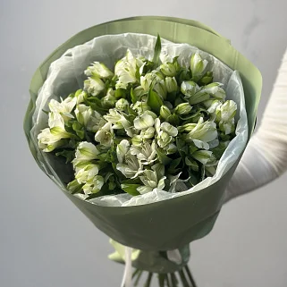 Букет из 15 белых альстромерий