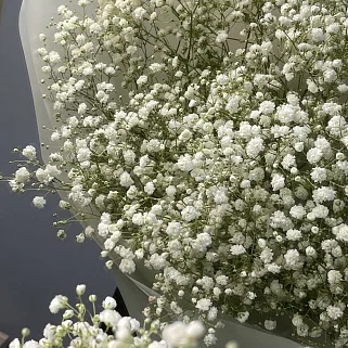 Букет из 9 веточек гипсофилы