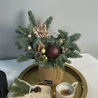 Зимняя композиция Брауни S