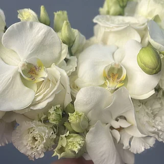 Нежный свадебный букет невесты с орхидеей