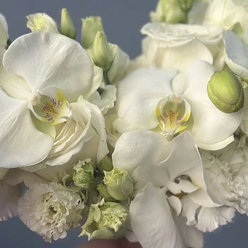 Нежный свадебный букет невесты с орхидеей