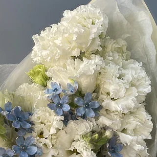 Дуо-букет эустомы и твидии S