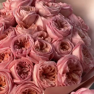 Букет пионовидных роз Pink Expression XL